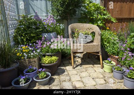 Schönes kleines Gartendesign mit Topfpflanzen und Ornamenten Stockfoto