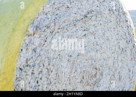 Baumwollballen, der in einer Reihe neben einem geernteten Feld angeordnet ist, bereit zur Abholung; Central California, USA Stockfoto