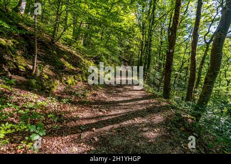 Wunderschöne Herbstwanderung bei Beuron im Naturpark Obere Donau mit tollen Ausblicken und Panoramen Stockfoto