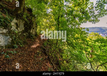 Wunderschöne Herbstwanderung bei Beuron im Naturpark Obere Donau mit tollen Ausblicken und Panoramen Stockfoto