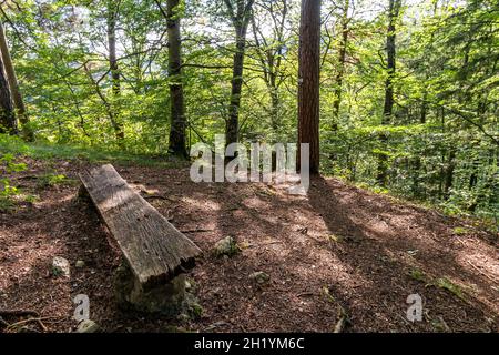 Wunderschöne Herbstwanderung bei Beuron im Naturpark Obere Donau mit tollen Ausblicken und Panoramen Stockfoto