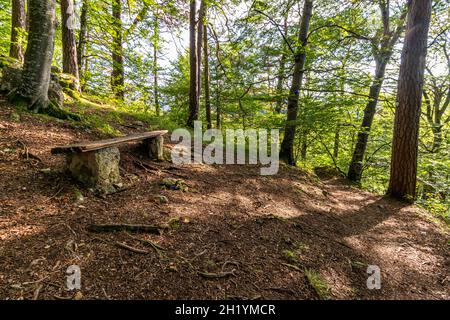 Wunderschöne Herbstwanderung bei Beuron im Naturpark Obere Donau mit tollen Ausblicken und Panoramen Stockfoto