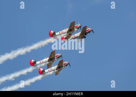 Vier Yakovlev Yak-52/50-Flugzeuge in enger Formation Stockfoto