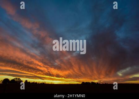 Pampas Sonnenuntergang , in der Provinz La Pampa Patagonien Argentinien. Stockfoto