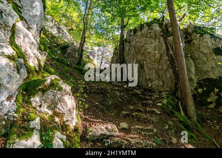 Wunderschöne Herbstwanderung bei Beuron im Naturpark Obere Donau mit tollen Ausblicken und Panoramen Stockfoto