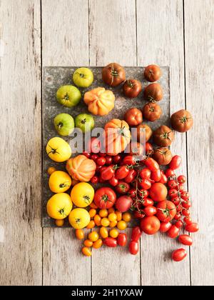 Auswahl an Tomaten Stockfoto