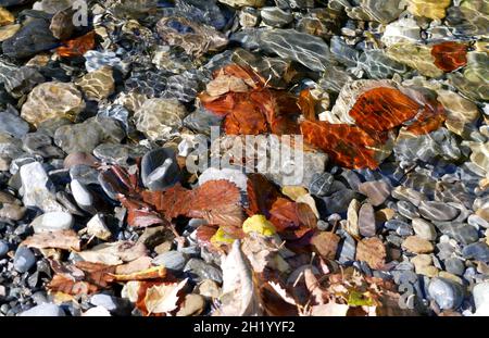 Bunte Kieselsteine in klaren Gebirgsbach, Pyrenäen Spanien Stockfoto