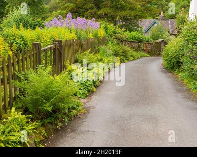 Gasse durch den Weiler Colthouse bei Hawkshead in Cumbria Stockfoto