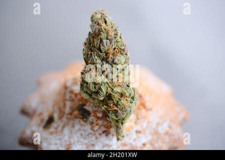 Canna Kitchen. Marihuana-Süßigkeiten. Cupcakes mit Marihuanaknospen, Draufsicht. Unkrautkuchen mit CBD-Öl und Cannabis blühen auf grauem Hintergrund. Stockfoto