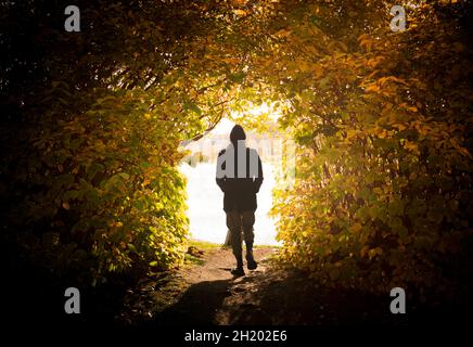 Silhouette Mann in schwarzen Kleidern, der tagsüber unter Bäumen eine Straße entlang läuft. Stockfoto