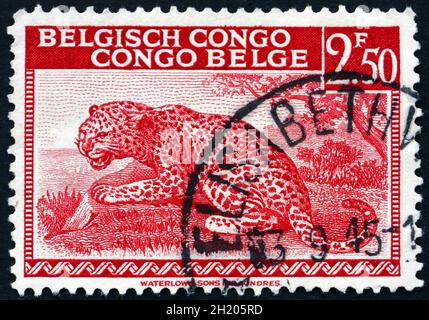 BELGISCHER KONGO - CA. 1942: Ein in belgischem Kongo gedruckter Stempel zeigt Leopard, Panthera Pardus, Big Cat, ca. 1942 Stockfoto