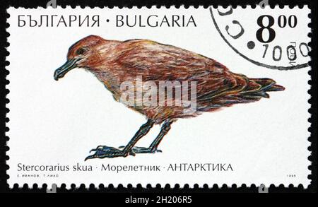 BULGARIEN - UM 1995: Eine in Bulgarien gedruckte Marke zeigt Great Skua, Stercorarius Skua, eine große Seabird, Antarctic Wildlife, um 1995 Stockfoto