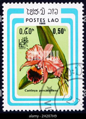 LAOS - UM 1985: Eine in Laos gedruckte Marke zeigt cattleya percivaliana, eine Orchideenart, um 1985 Stockfoto