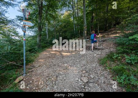 Blick auf den Weg zum Gipfel des Poncione di Ganna, im Valganna-Tal. Varese, Lombardei, Italien. Stockfoto