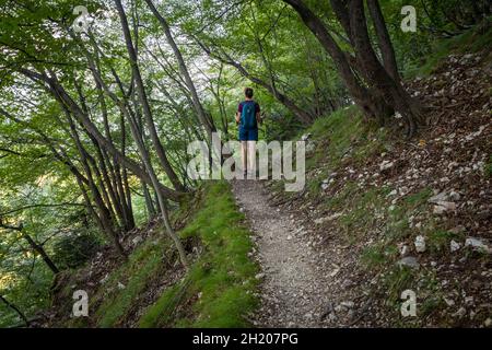 Blick auf den Weg zum Gipfel des Poncione di Ganna, im Valganna-Tal. Varese, Lombardei, Italien. Stockfoto