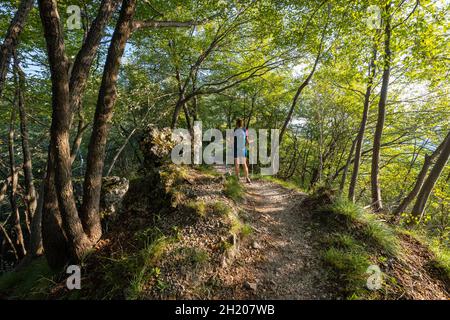 Blick auf den Weg zum Gipfel des Poncione di Ganna, im Valganna-Tal. Varese, Lombardei, Italien. Stockfoto