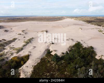 Råbjerg Mile ist eine wandernde Küstendüne zwischen Skagen und Frederikshavn, Dänemark. Der wandernde Sand bedeckt komplette Bäume. Stockfoto