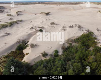 Råbjerg Mile ist eine wandernde Küstendüne zwischen Skagen und Frederikshavn, Dänemark. Der wandernde Sand bedeckt komplette Bäume. Stockfoto