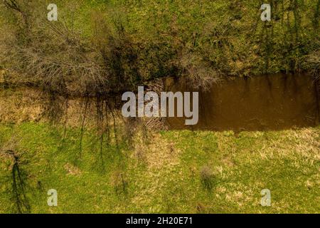 Drohnenansicht von kleinen Biberdämmen auf einem Fluss während der Sommertage. Stockfoto