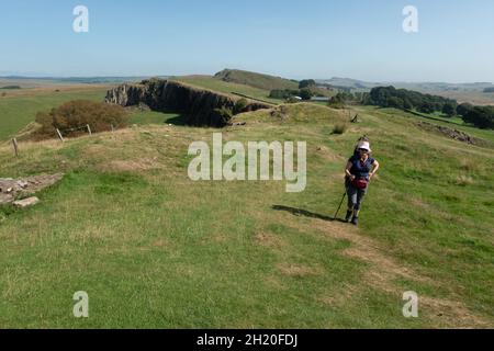 Eine alleinreisende Wanderin und Blick östlich des Cawfields Quarry auf die Hadrianmauer im Northumberland National Park England. Stockfoto