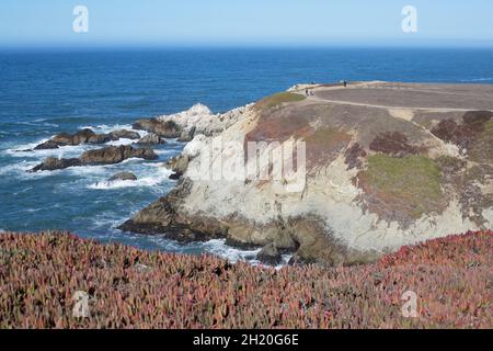 Menschen wandern auf einem Klippenpfad bei Bodega Head in Kalifornien. Stockfoto