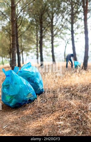 Freiwilliger Mann sammelt Plastikmüll unter Kiefern. Selektiver Fokus. Stockfoto