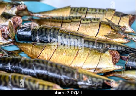 Geräucherte Makrelen liegen auf einem Förderband. Fischfutterfabrik. Stockfoto