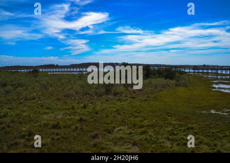 The Life of the Marsh Trail, eine erhöhte Holzpromenade, die um ein Sumpfgebiet an der Bucht in der Assateague Island National Seashore, Berlin, Maryl, führt Stockfoto