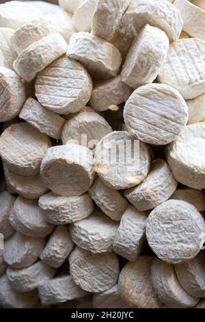 Camembert Käse weich mit weißem Schimmel in einer Vitrine Stockfoto