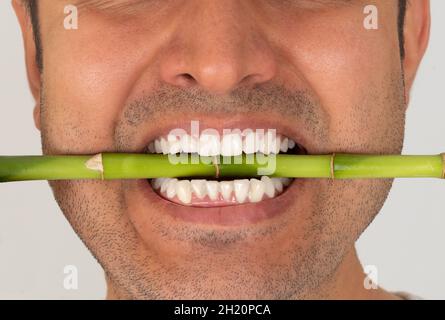 Nahaufnahme eines jungen Mannes mit brauner Haut und lächelndem Gummi. Konzept der weißen Zähne. Stockfoto