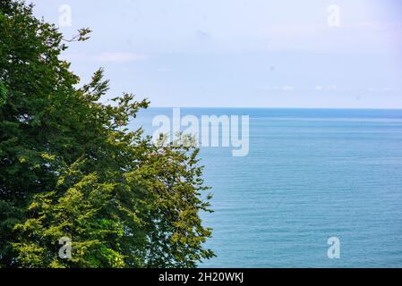 Wunderschöner Meerblick im Botanischen Garten von Batumi Stockfoto