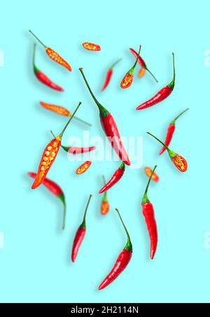 Scharfe Chilischoten und Chilischoten schweben auf hellblauem Hintergrund Stockfoto