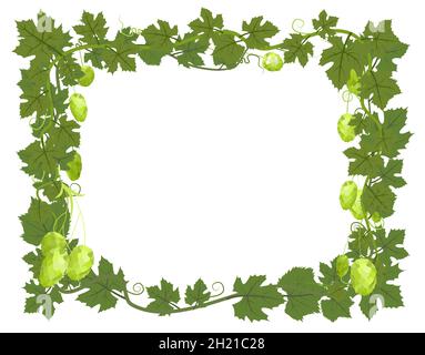 Rechteckiger Rahmen mit Hopfen. Ein Zweig mit dichten Blättern und Kegeln. Schlaffe Triebe mit Blättern. Wilde Natur. Flache Illustration mit Platz für Stock Vektor