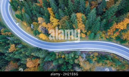 Luftaufnahme der Straße in einem schönen Kiefern- und Laubwald. Drohnenflug über Bergstraßen Stockfoto