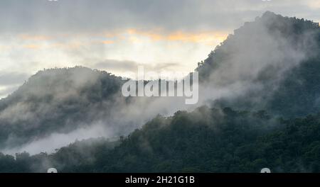 Nebelwaldnebel beim Sonnenaufgangspanorama, Mindo Nebelwald bei Quito, Ecuador. Stockfoto