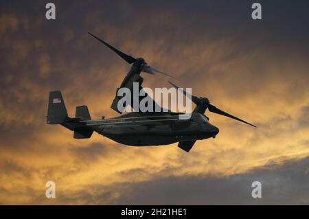 USMC Boeing MV-22 Osprey Militärflugzeug Stockfoto