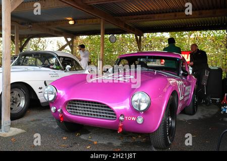 Oktober 2021 - AC Cobra Dungnake, Stirling Moss Memorial Trophy, im Fahrerlager beim Goodwood Members Meeting 78 Stockfoto