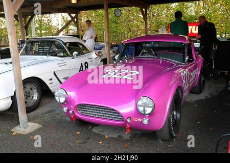 Oktober 2021 - AC Cobra Dungnake, Stirling Moss Memorial Trophy, im Fahrerlager beim Goodwood Members Meeting 78 Stockfoto