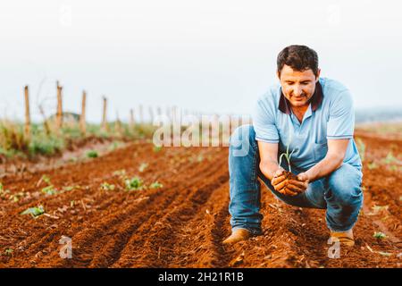 Glória de Dourados, Brasilien, 19/10/2021, Ein Landwirt hält eine Maispflanze auf dem Feld. Die Landwirtschaft ist eine der Hauptgrundlagen der brasilianischen Wirtschaft. Kredit: SOPA Images Limited/Alamy Live Nachrichten Stockfoto