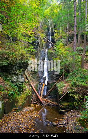 Der Silberfaden fällt an einem Herbstnachmittag in Dingmans Ferry, Pennsylvania, und wird durch üppige Laubfarben mit einer langen Belichtungsunschärfe von -01 betrachtet Stockfoto