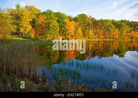 Lake Marcia im High Point State Park von New Jersey, an einem sonnigen Herbsttag, umgeben von üppiger Vegetation -02 Stockfoto