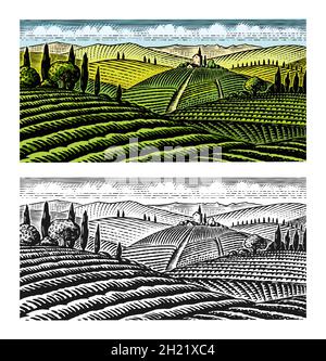 Malerische Aussicht auf die Weinberge. Felder und Hügel der Toskana. Panorama-Weinplantage in Chianti. Französisch oder Italienisch gravierte Landschaft. Hand gezogen Stock Vektor