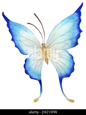 Blaue Schmetterling Aquarell Illustration. Auf weißem Hintergrund abtrennen. Kindergemälde Schmetterling mit farbigen Flügeln. Handgezeichnet auf Papier. Stockfoto