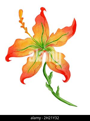 Rote Blume Aquarell Illustration. Isoliert auf weißem Hintergrund. Scharlachrote Blume Märchen Illustration handbemalt. Kinderzeichnung. Stockfoto