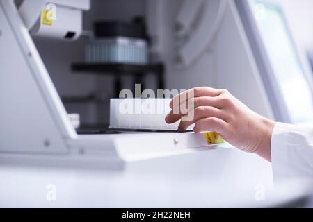 Mehrere Proben in der Hand eines Laborassistenten an einem Laborgerät im Labor, Freiburg, Baden-Württemberg, Deutschland Stockfoto