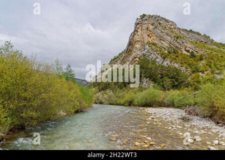 Bach im Chartreuse Naturpark, Rhone-Alpes, Frankreich Stockfoto