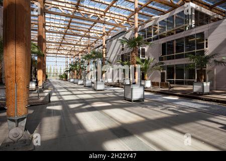 Mont-Cenis Akademie, Akademie, Herne, Ruhr District, North Rhine-Westphalia, Deutschland Stockfoto