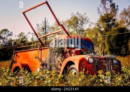 Ein antiker amerikanischer LaFrance Feuerwehrwagen der 40er Jahre sitzt auf einem Feld auf dem Highway 98, 16. Oktober 2021, in Fairhope, Alabama. Stockfoto