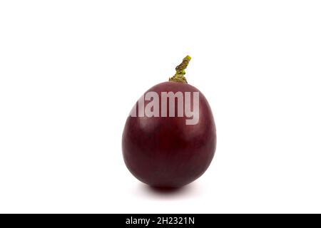 Einzelne Beere aus roter Traube isoliert auf weißem Hintergrund Stockfoto