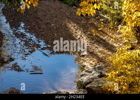 Blick auf den Santa Fe River Stockfoto